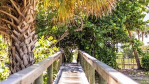 A wooden bridge with a metal railing, surrounded by lush greenery and trees.