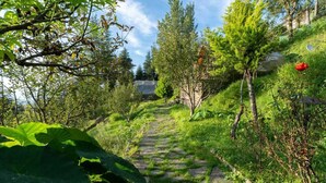 A stone pathway leading uphill through a lush garden with various trees and plants. - Nirvana Dhar Nature Resort (Rajgarh)
