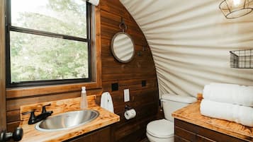 Hair dryer, soap, shampoo, toilet paper