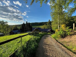 Property grounds - Relaxation in the forest - with swimming pool! (Heßles)