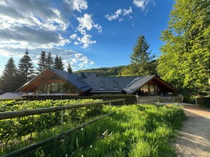 Exterior - Relaxation in the forest - with swimming pool! (Heßles)