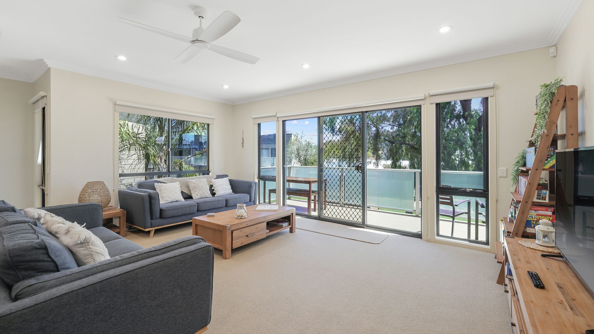 Televisión, reproductor de DVD, libros, videoteca