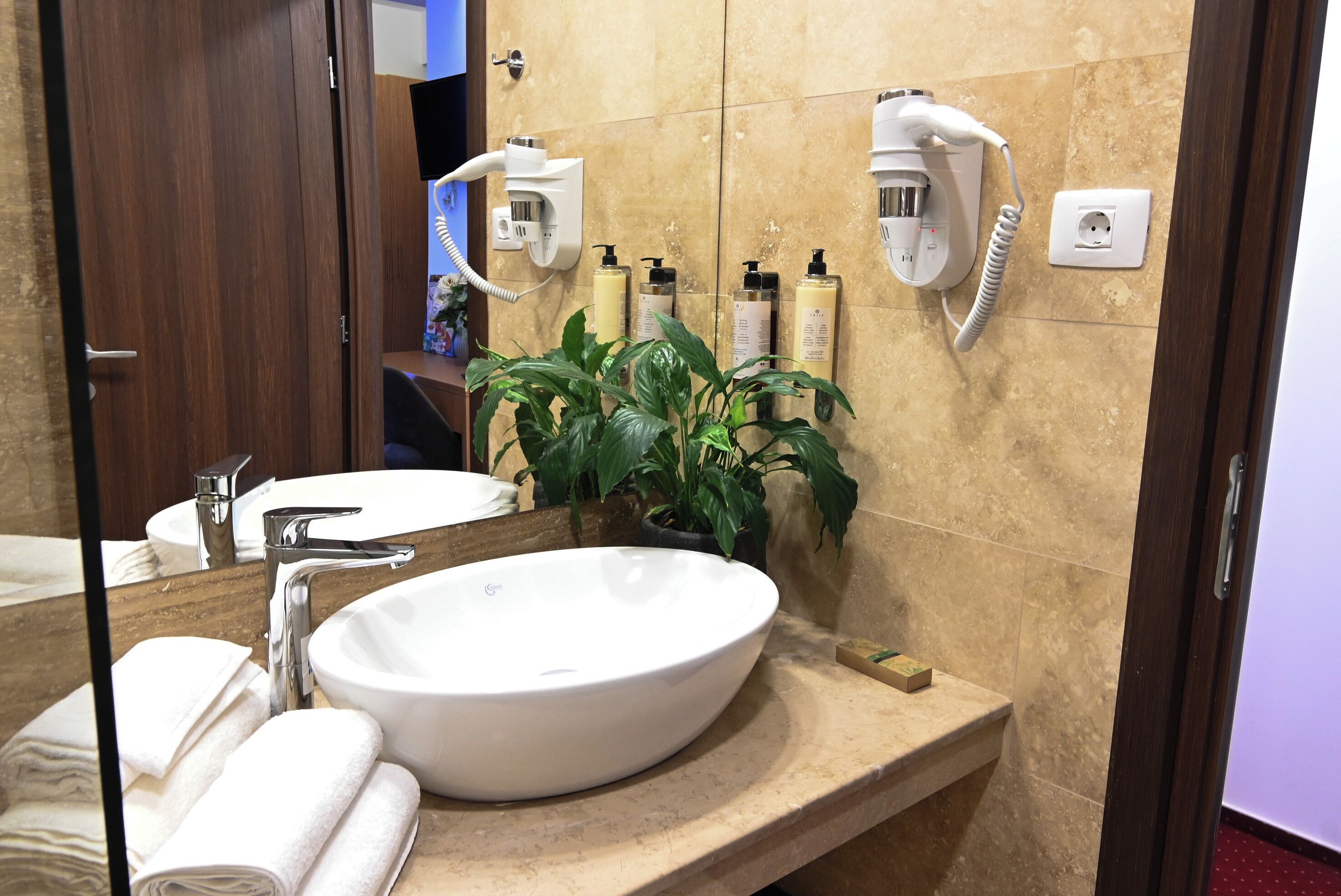 A bathroom with a large white sink, a mirror, a towel rack, a hairdryer, and a potted plant.