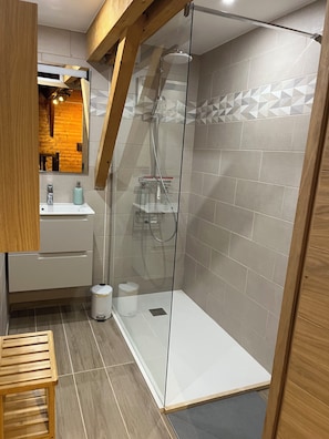 Shower, hair dryer, towels