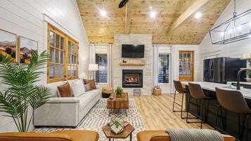 Smart TV, fireplace, books