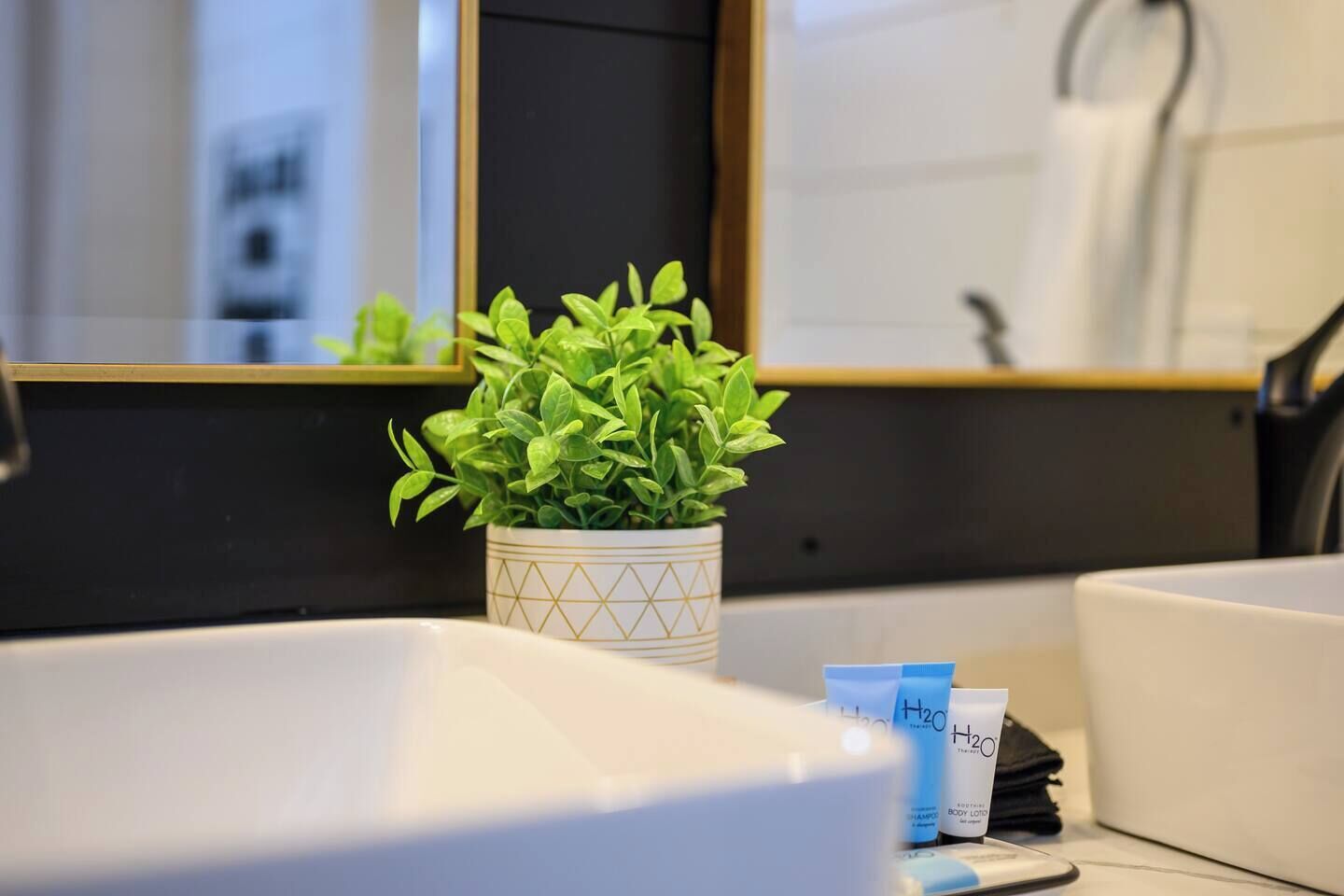 Een badkamer met twee wasbakken, een potplant en toiletartikelen op het aanrecht.