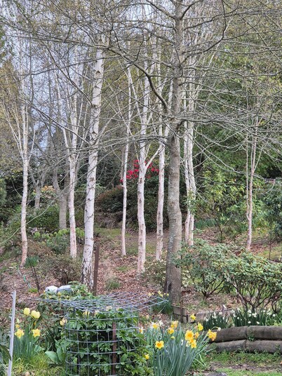 Cottage on Woodchester Station, family friendly.