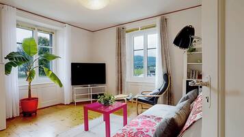 Fernseher, Bücher, Stereoanlage, Computerbildschirme