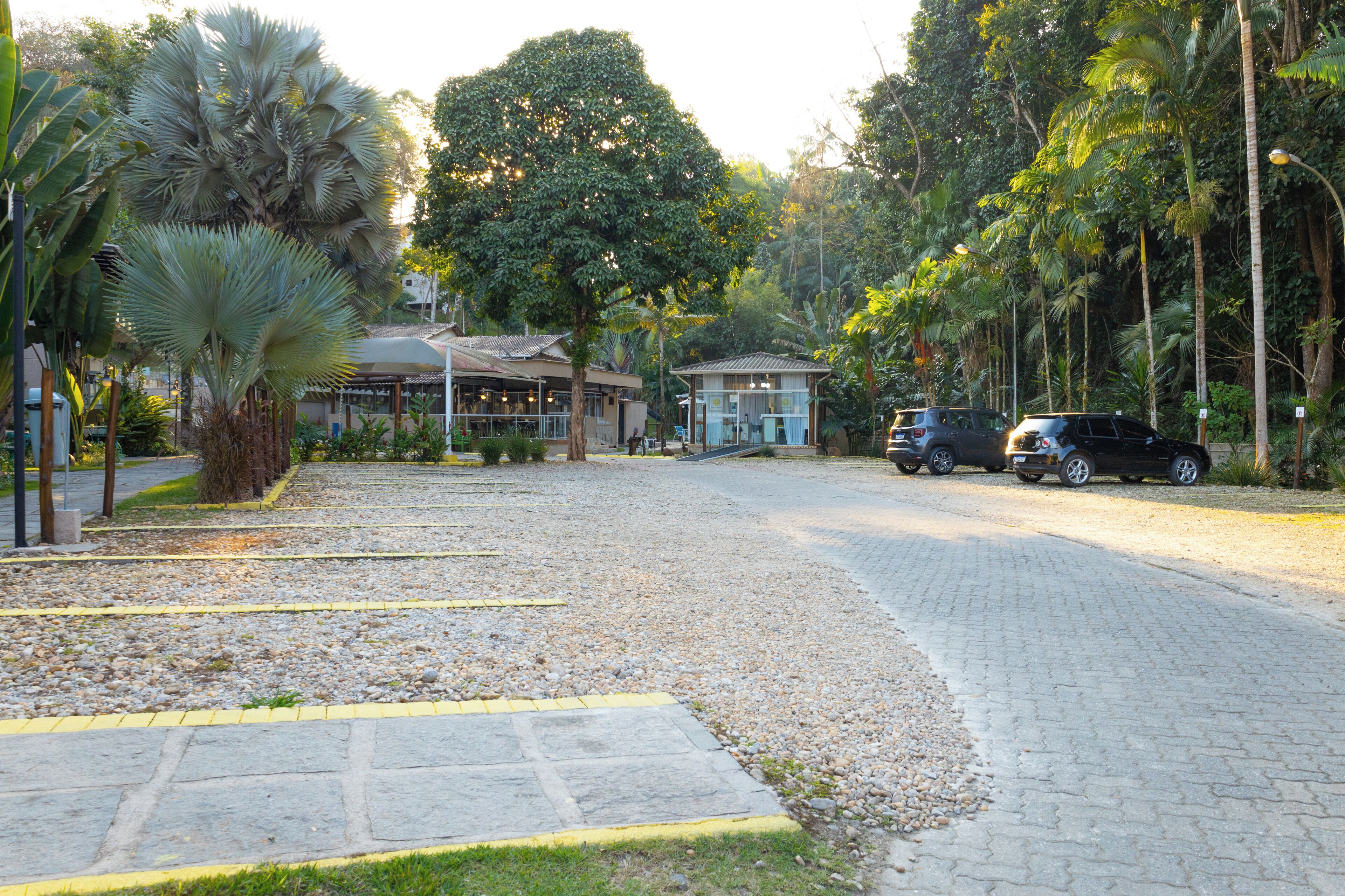 Um caminho de paralelepípedos leva a um edifício com entrada coberta, rodeado por palmeiras e vegetação.