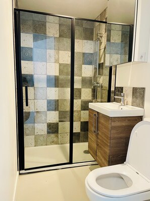 Shower, hair dryer, towels, toilet paper