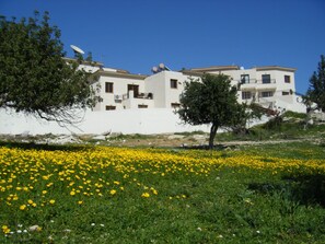 Exterior - Peyia, near Paphos, Cyprus - beautiful villa with panoramic view over coral bay  (Peyia)