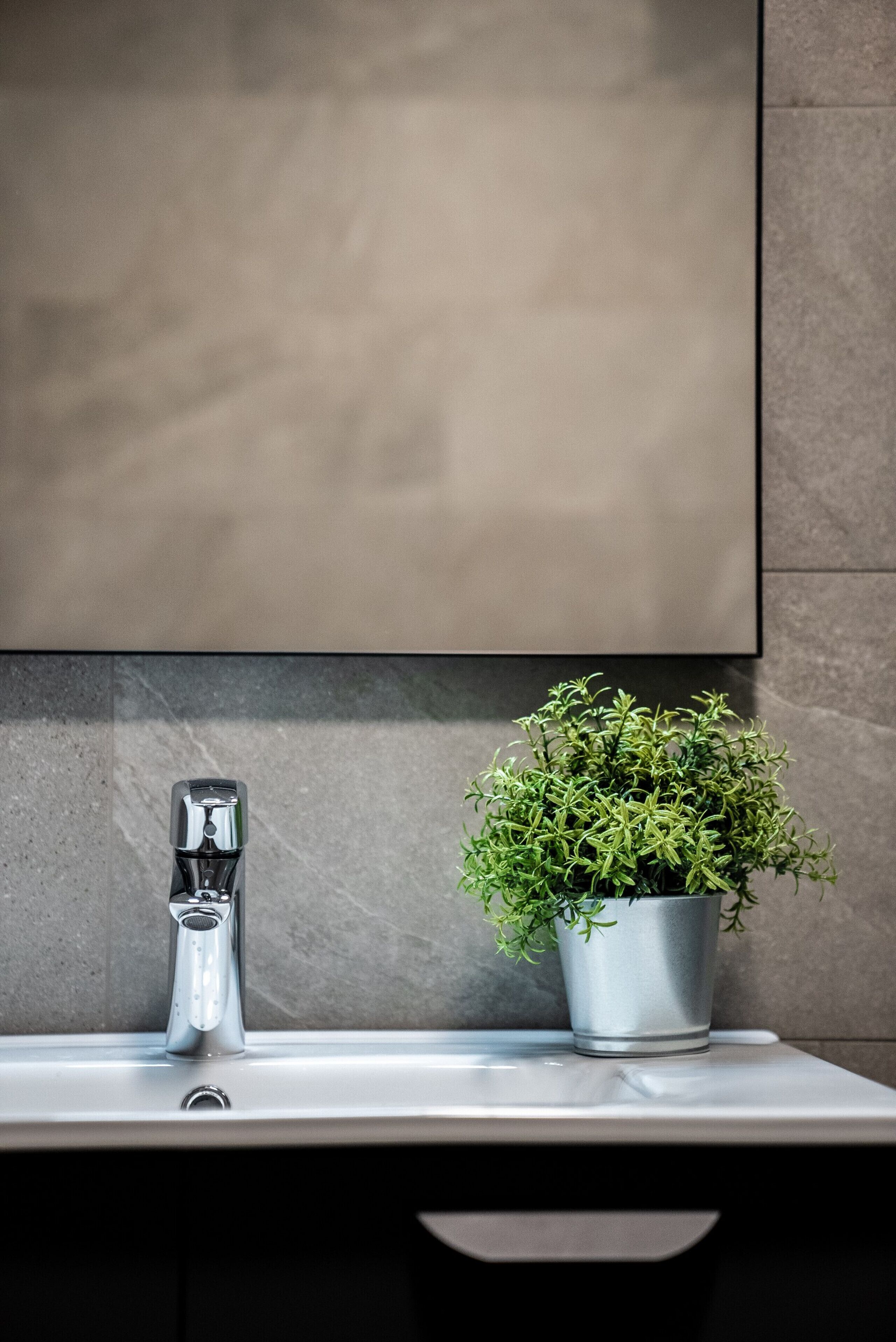 A bathroom with a modern sink, a faucet, and a potted plant.