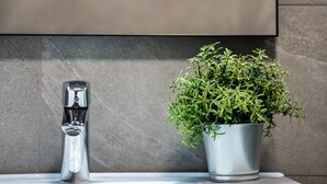 A bathroom with a modern sink, a faucet, and a potted plant.