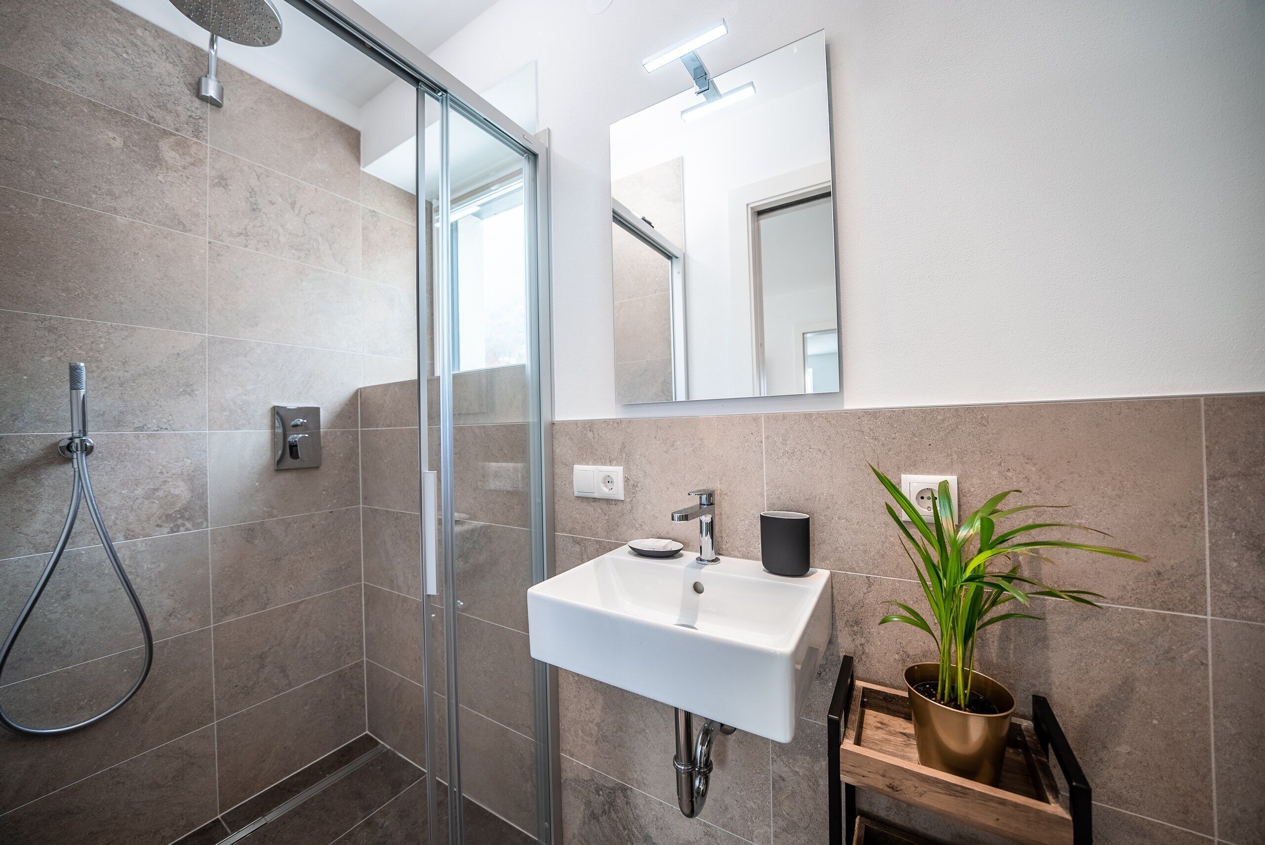 Ein modernes Badezimmer mit einer Duschkabine aus Glas, einem weißen Waschbecken und einem Blumentopf.