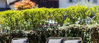 711A Apartment Garden 14