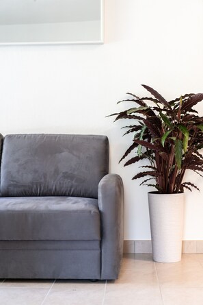 A grey sofa against a white wall with a potted plant beside it. - 711A Apartment Garden 14 (Caldaro sulla strada del vino)