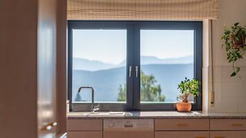 A kitchen with a large window, a sink, and a potted plant.