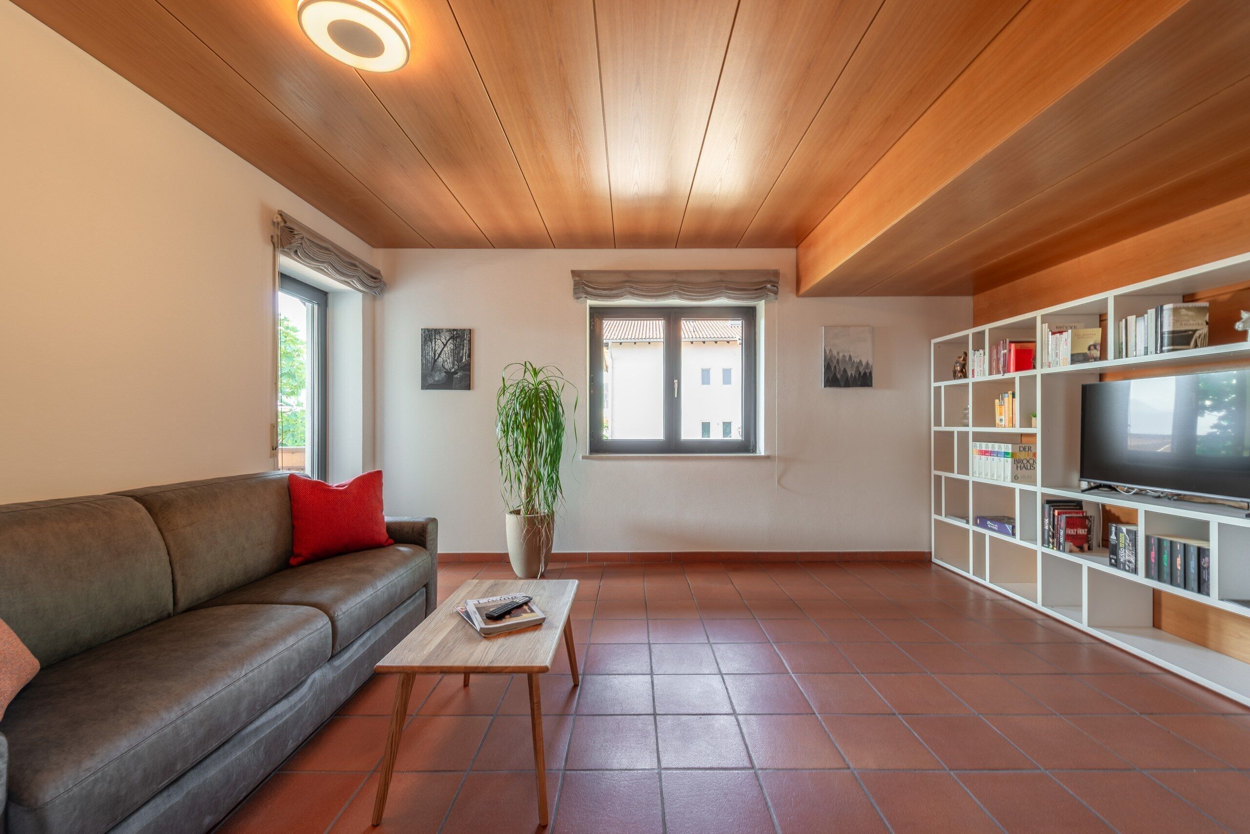 A living room with a sofa, a coffee table, a plant, a TV, and a bookshelf.