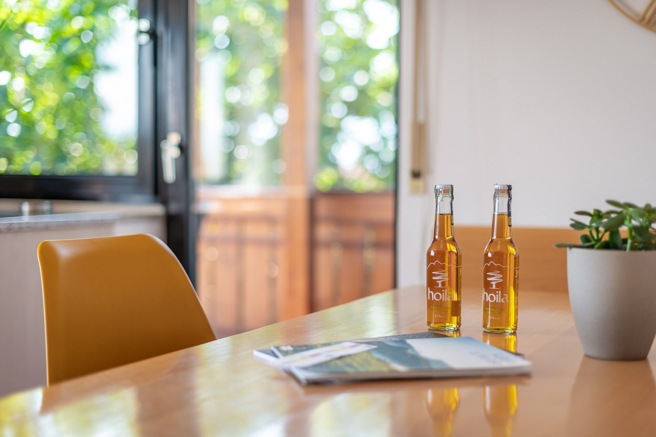 A table with two bottles of South Valley apple cider, a magazine, and a potted plant.