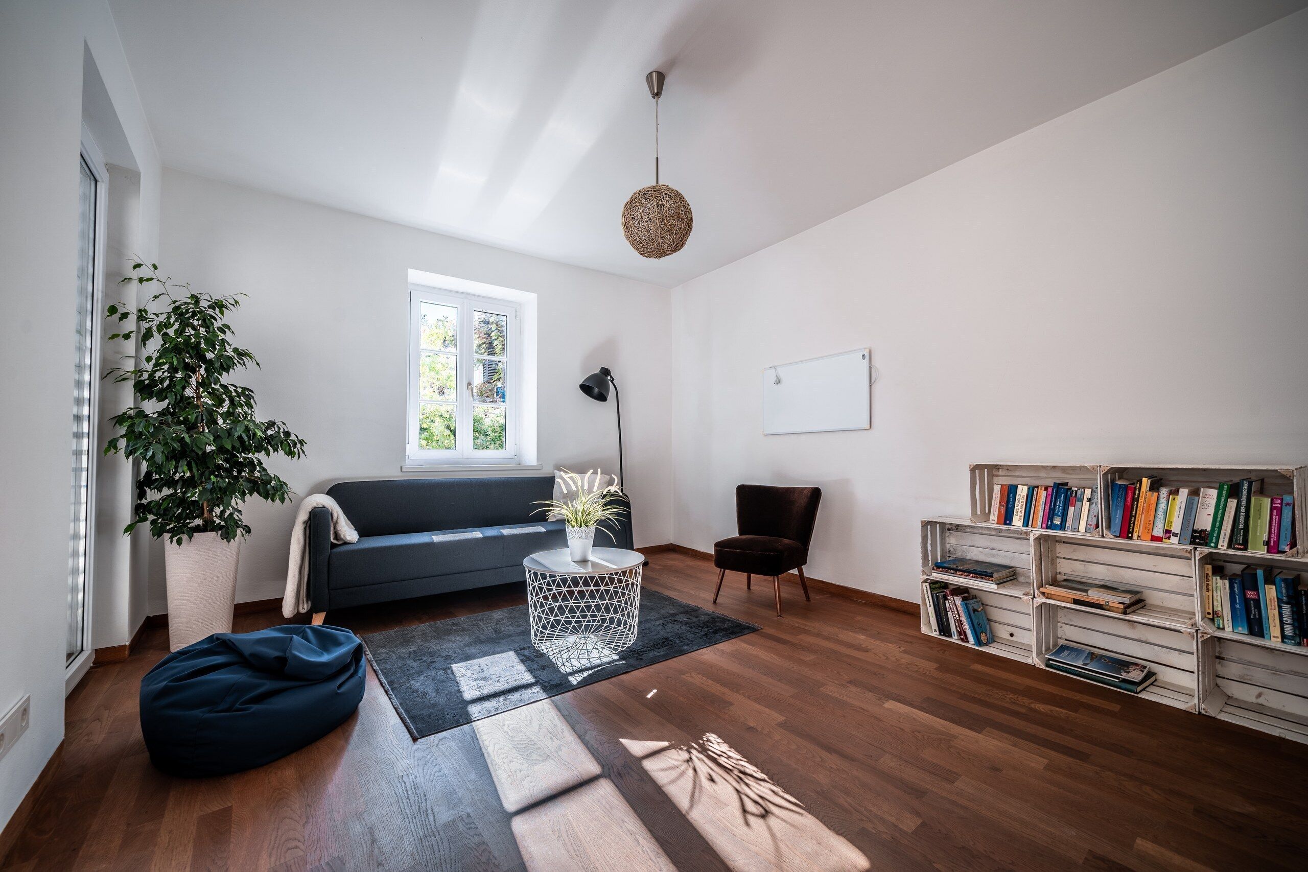 Een moderne woonkamer met een bank, een fauteuil, een ronde salontafel, een boekenkast en een grote kamerplant.