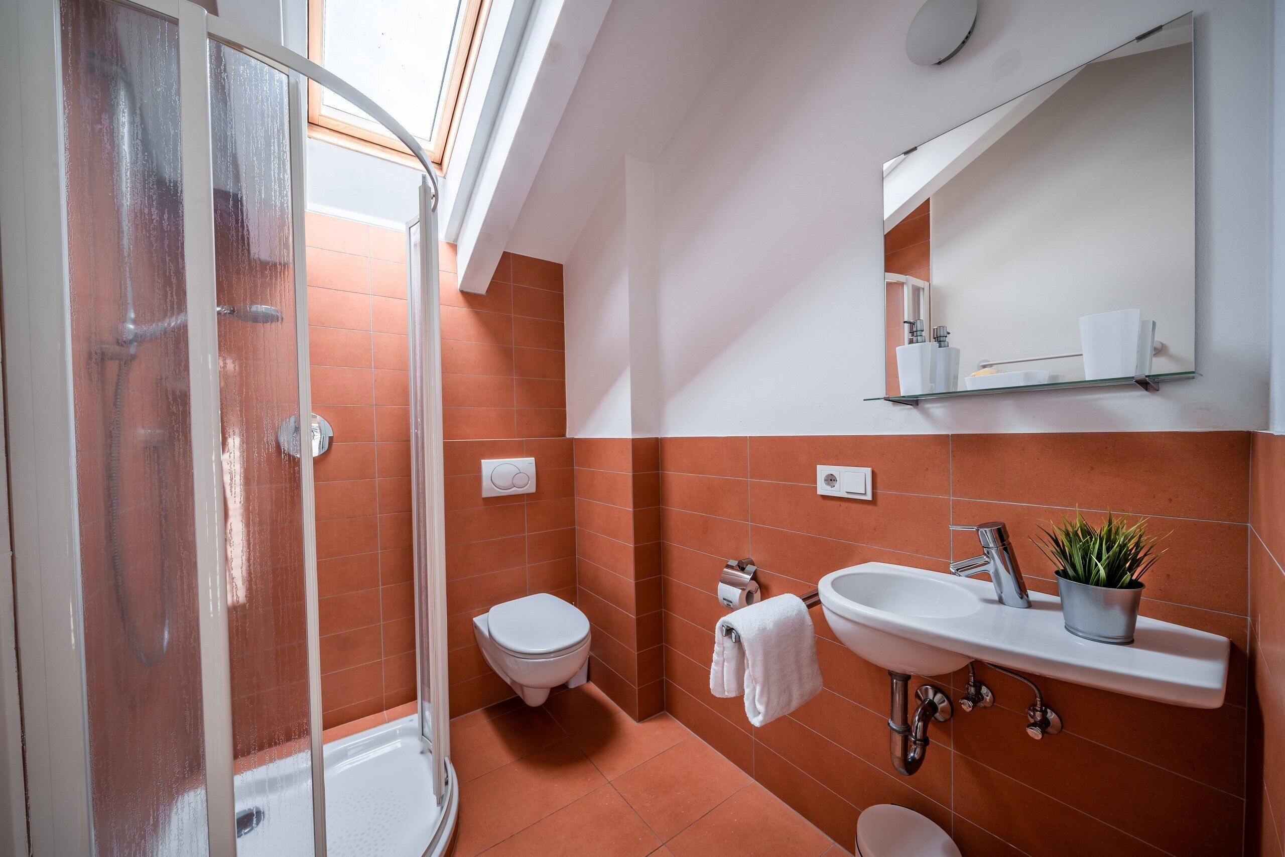 Un baño con ducha, inodoro, lavabo y una planta en maceta.