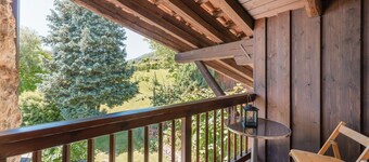 718B Apartment Ansitz Wieshof