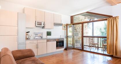 718B Apartment Ansitz Wieshof