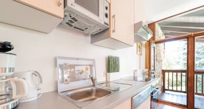 718B Apartment Ansitz Wieshof