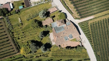 An aerial view of a property with a central building surrounded by landscaped gardens and vineyard rows.