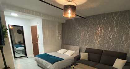 Nice apartment in the city center close to everything !!!!
