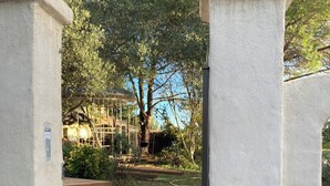 A set of wooden steps leading to a covered outdoor area with a pergola and trees. - Quiet house near Montpellier in a village on the edge of a forest (Teyran)