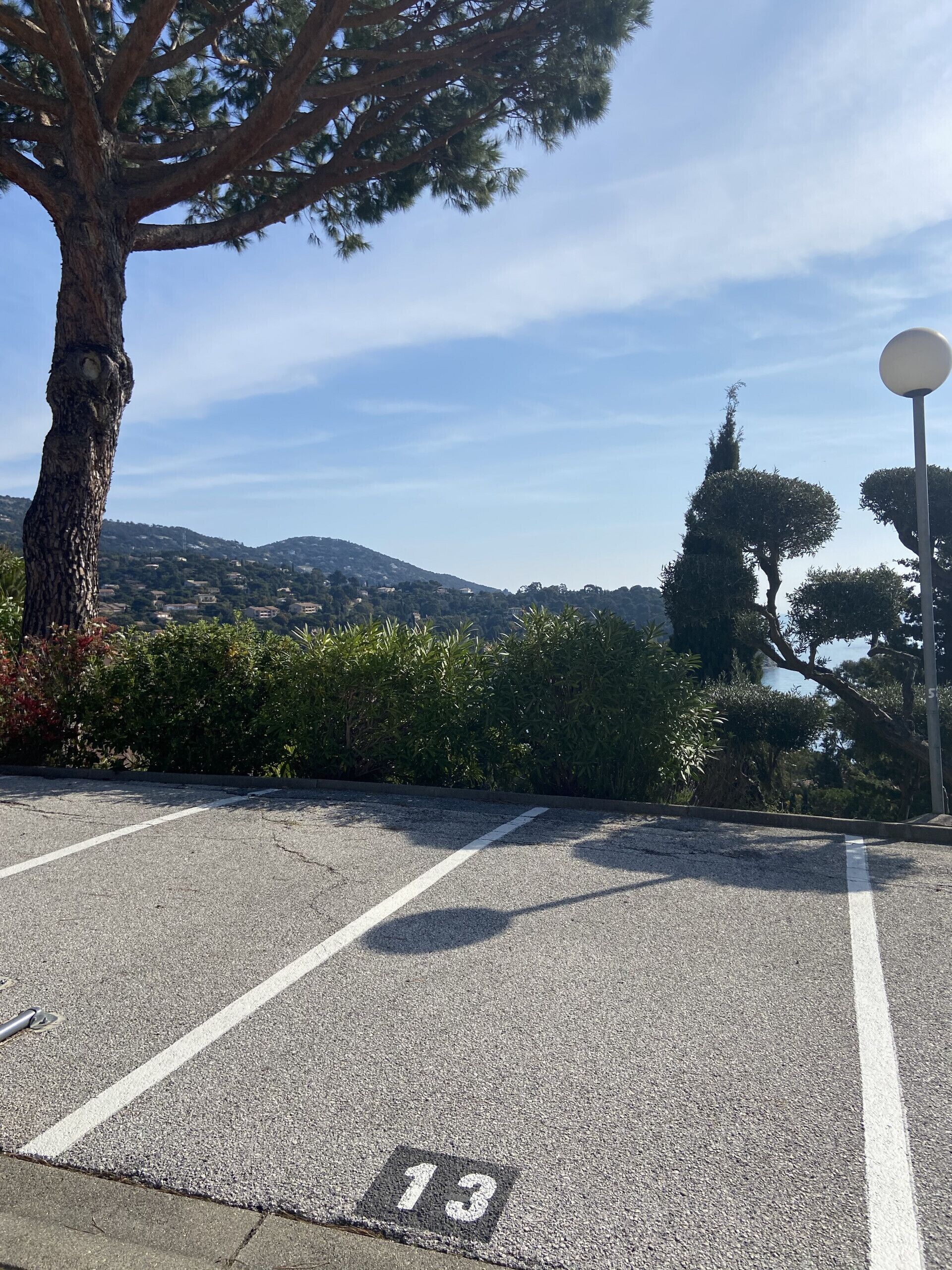 A parking lot with a tree and a lamp post.