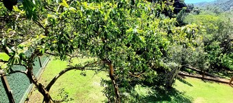 Pousada Raízes da Guarda