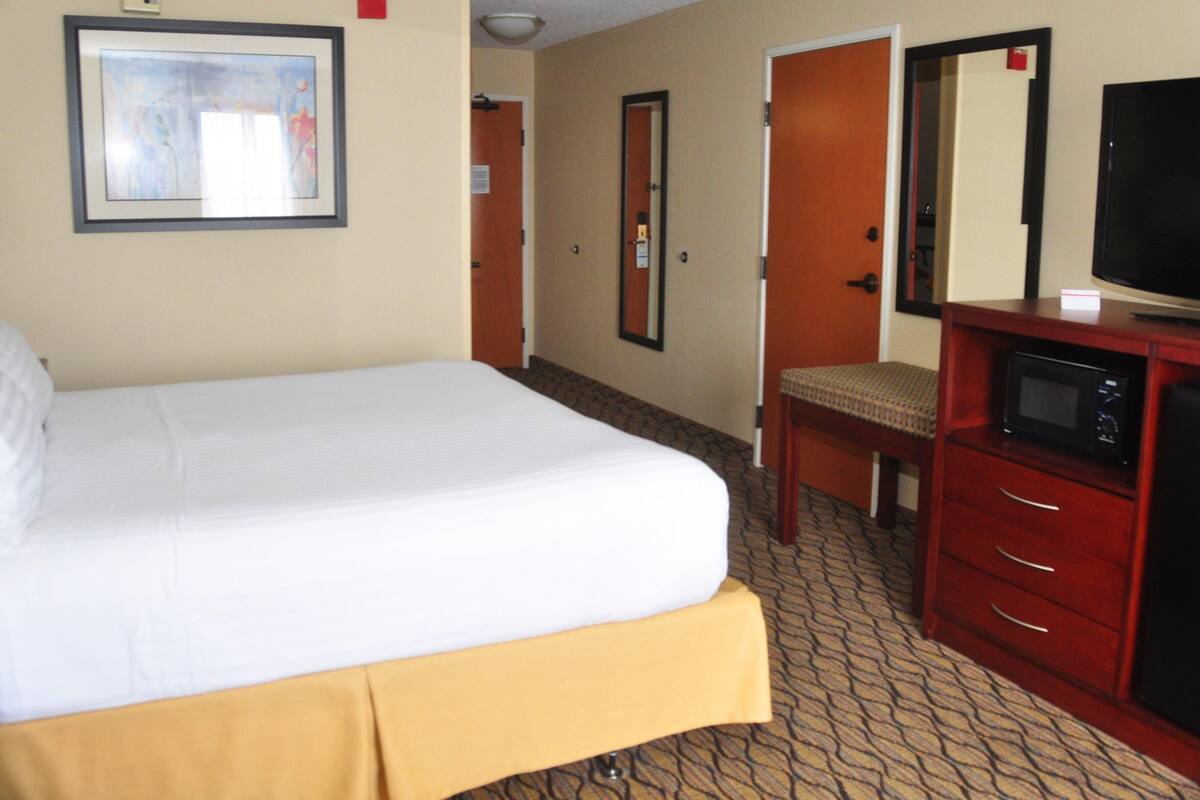 A hotel room with a bed, a television, a desk, and a chair.