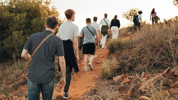 A group of people walking on a dirt path surrounded by vegetation.