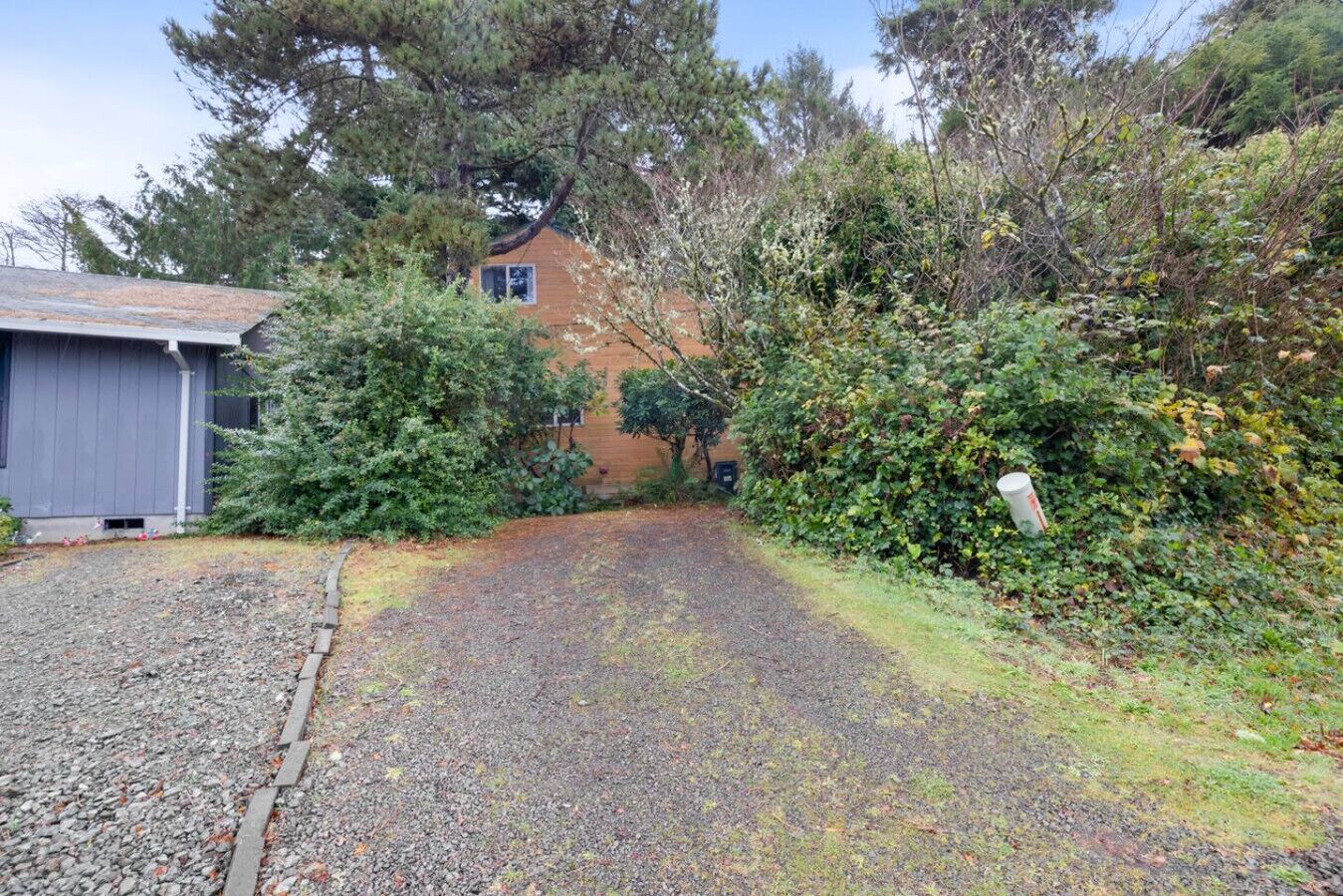 Ein Kiesweg führt zu einem Haus, das von dichter Vegetation und einem Schuppen umgeben ist.