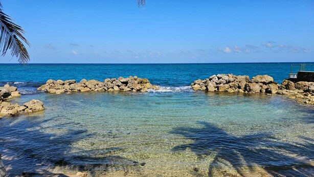 Una vista despejada de una playa tropical con formaciones rocosas y palmeras.