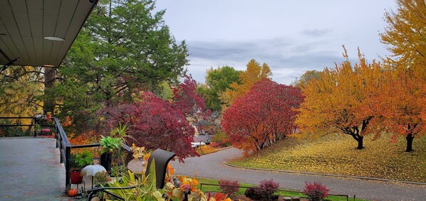 Overnattingsstedets uteområder