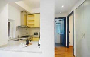 Fridge, stovetop, dishwasher