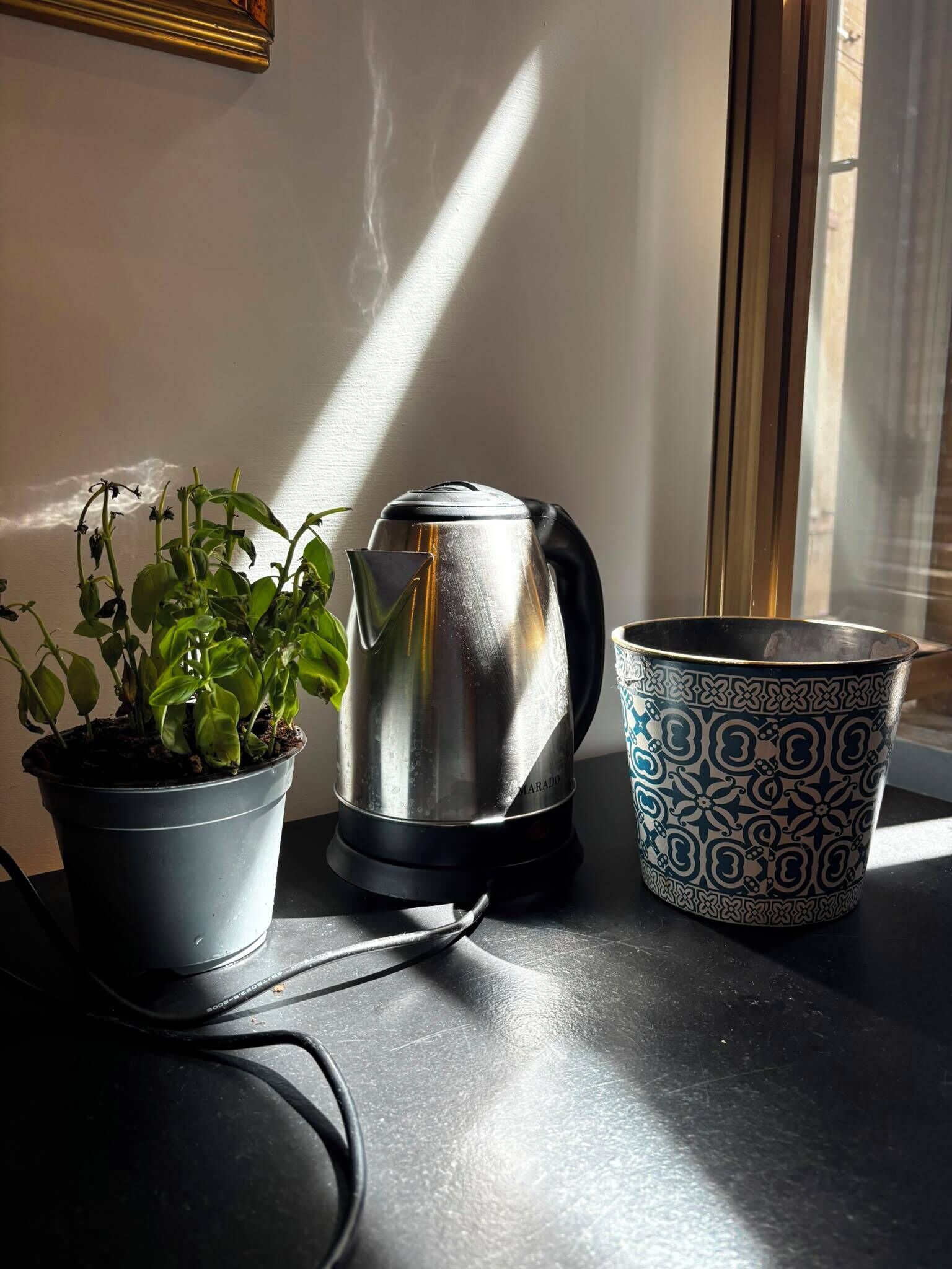A table with a potted plant, a metallic kettle, and a patterned cup.