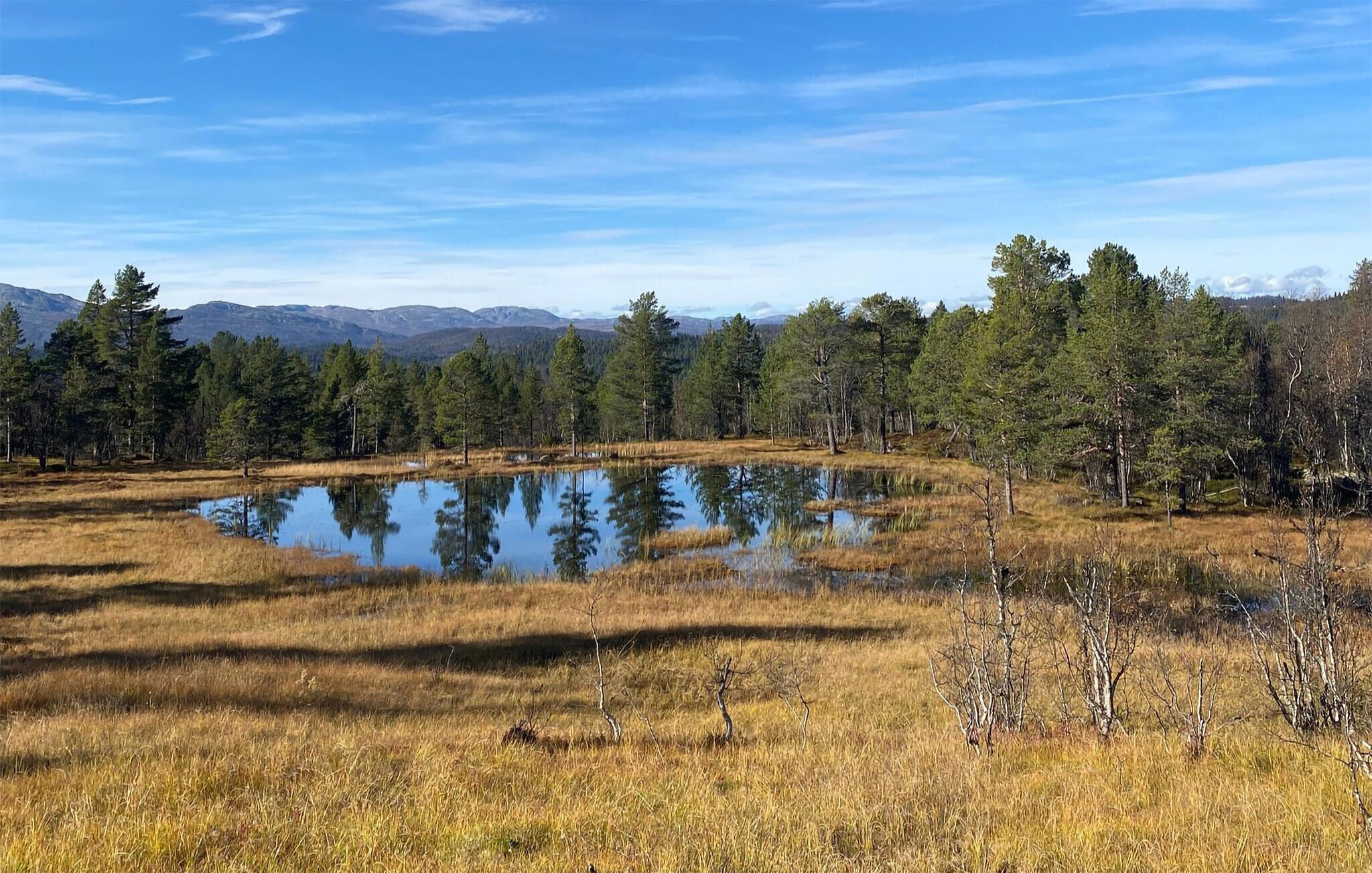 Paisagem natural com um corpo d'água, árvores e montanhas ao fundo.