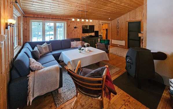 تلفزيون، مدفأة