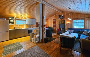 TV, fireplace - Amazing home in Rauland (Rauland)