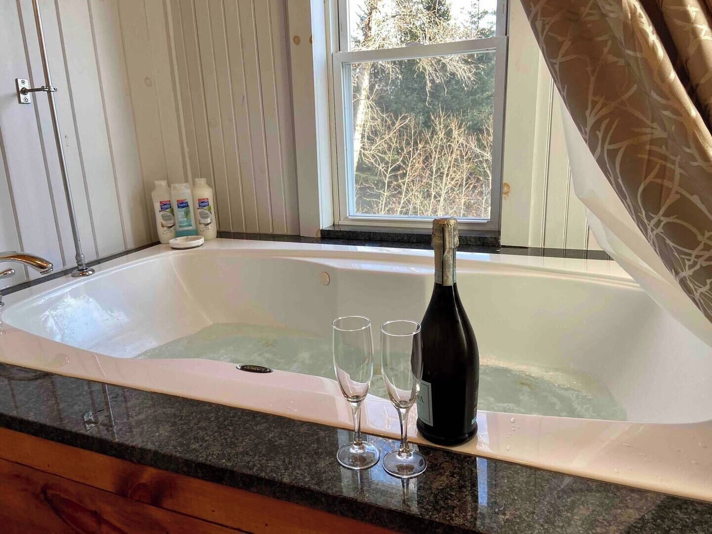 Shower, jetted tub, hair dryer, towels