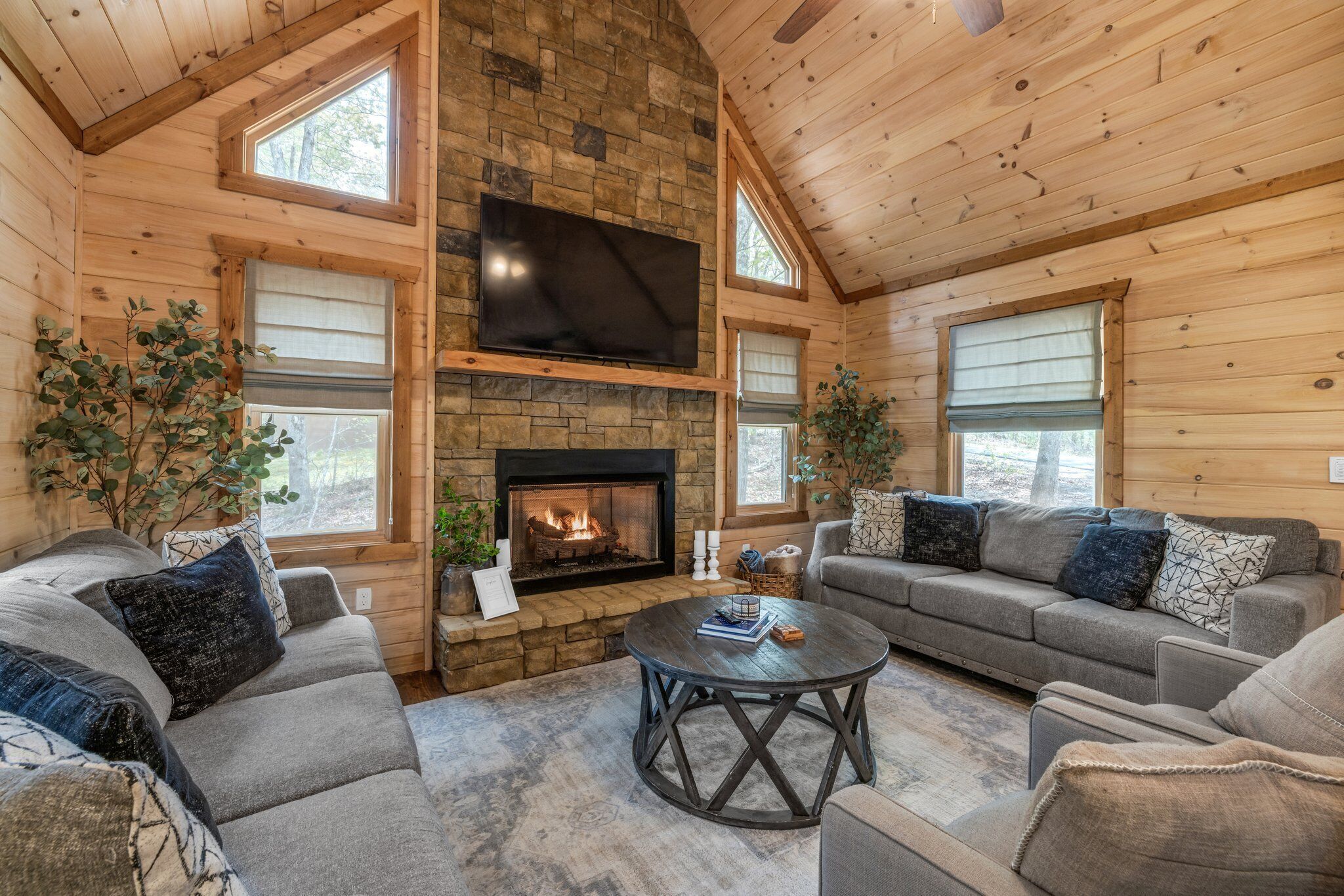 Smart TV, fireplace, books