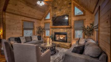 Smart TV, fireplace, books