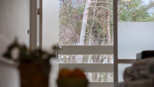 A view through a window with a wooden frame, displaying a tree and a blurred interior scene.