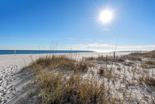 Playa en los alrededores 