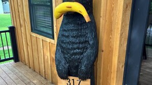 Een houten beerbeeld dat een banaan vasthoudt, met het getal 317 op de sokkel, geplaatst op een houten terras.