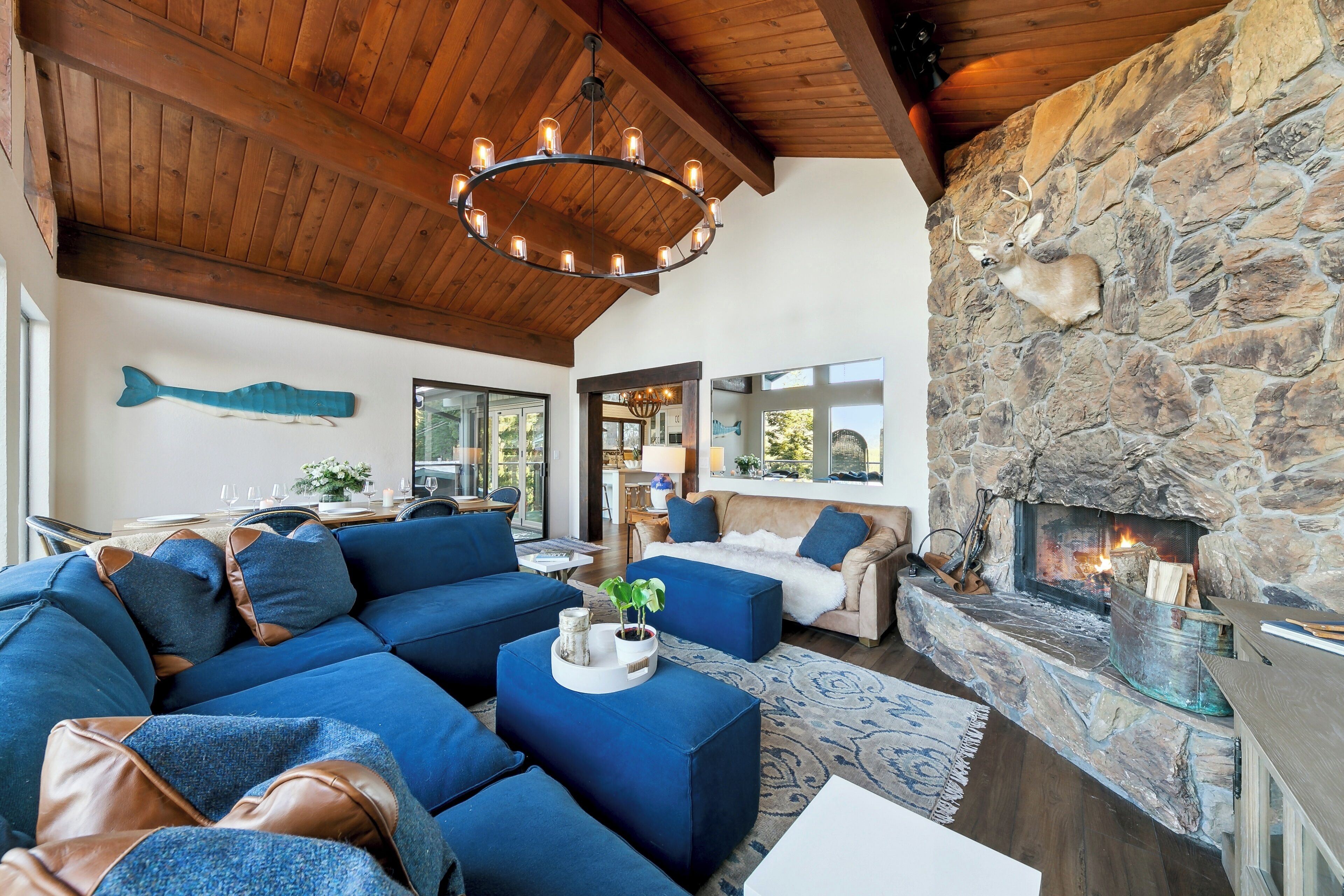 Smart TV, fireplace, DVD player, books